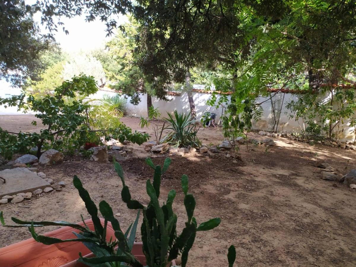 Apartments Ljerka Stara Novalja Εξωτερικό φωτογραφία