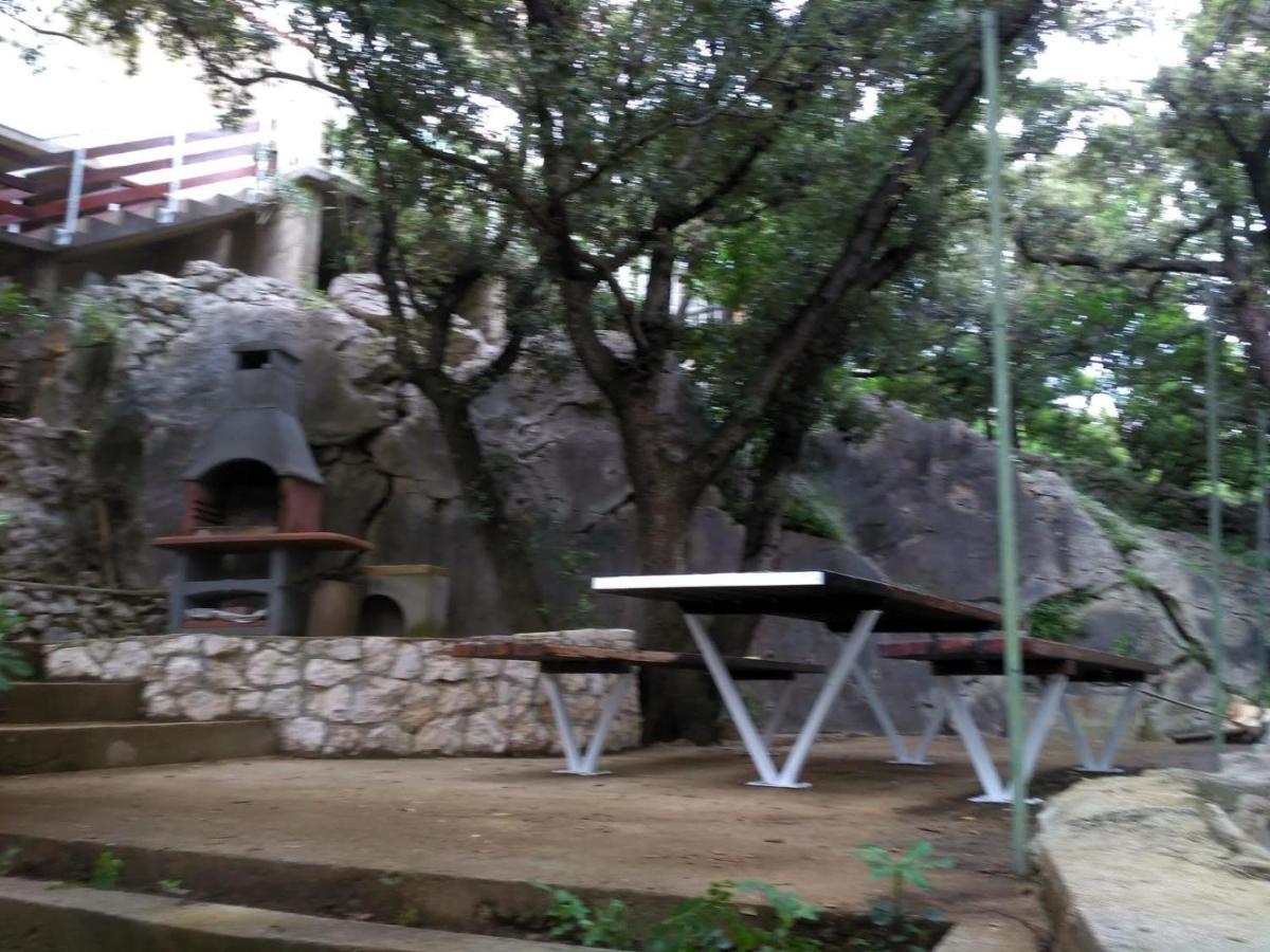 Apartments Ljerka Stara Novalja Εξωτερικό φωτογραφία