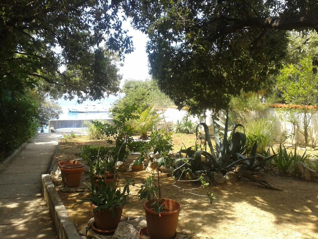 Apartments Ljerka Stara Novalja Εξωτερικό φωτογραφία