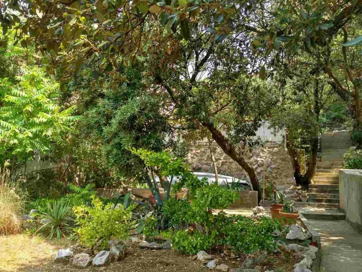 Apartments Ljerka Stara Novalja Εξωτερικό φωτογραφία